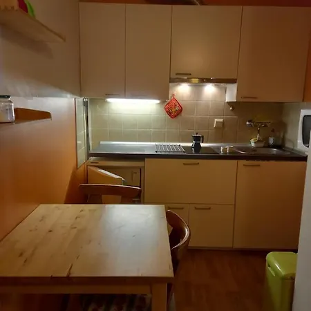 Panoramis In Apartment Schladming